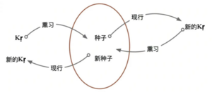 1群种子熏现模型2021052101.png