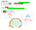 8群眼翳执毛模型20210431.png