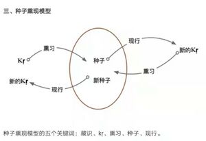 8群种子熏现20210426.jpg
