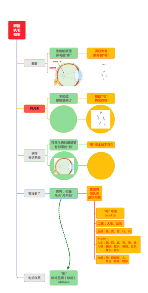 眼醫执毛模型图文简化版8群20210227.png